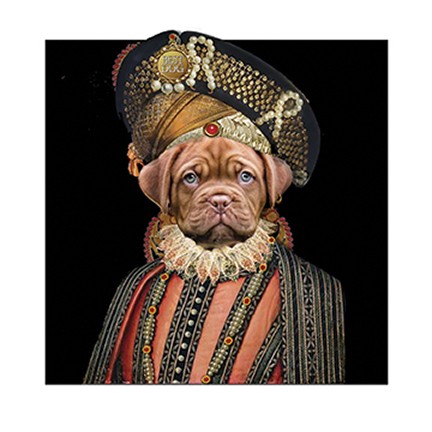 Sir Wrinkley