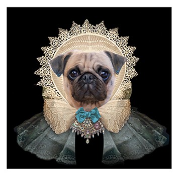 Ms. Pugg