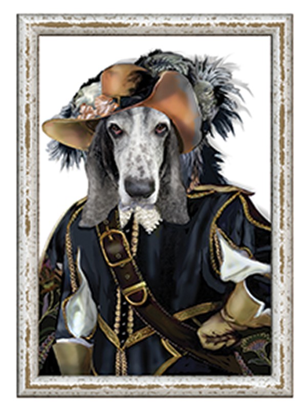 Chevalier Bassette