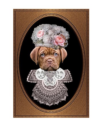 Rosy O'Wrinkley