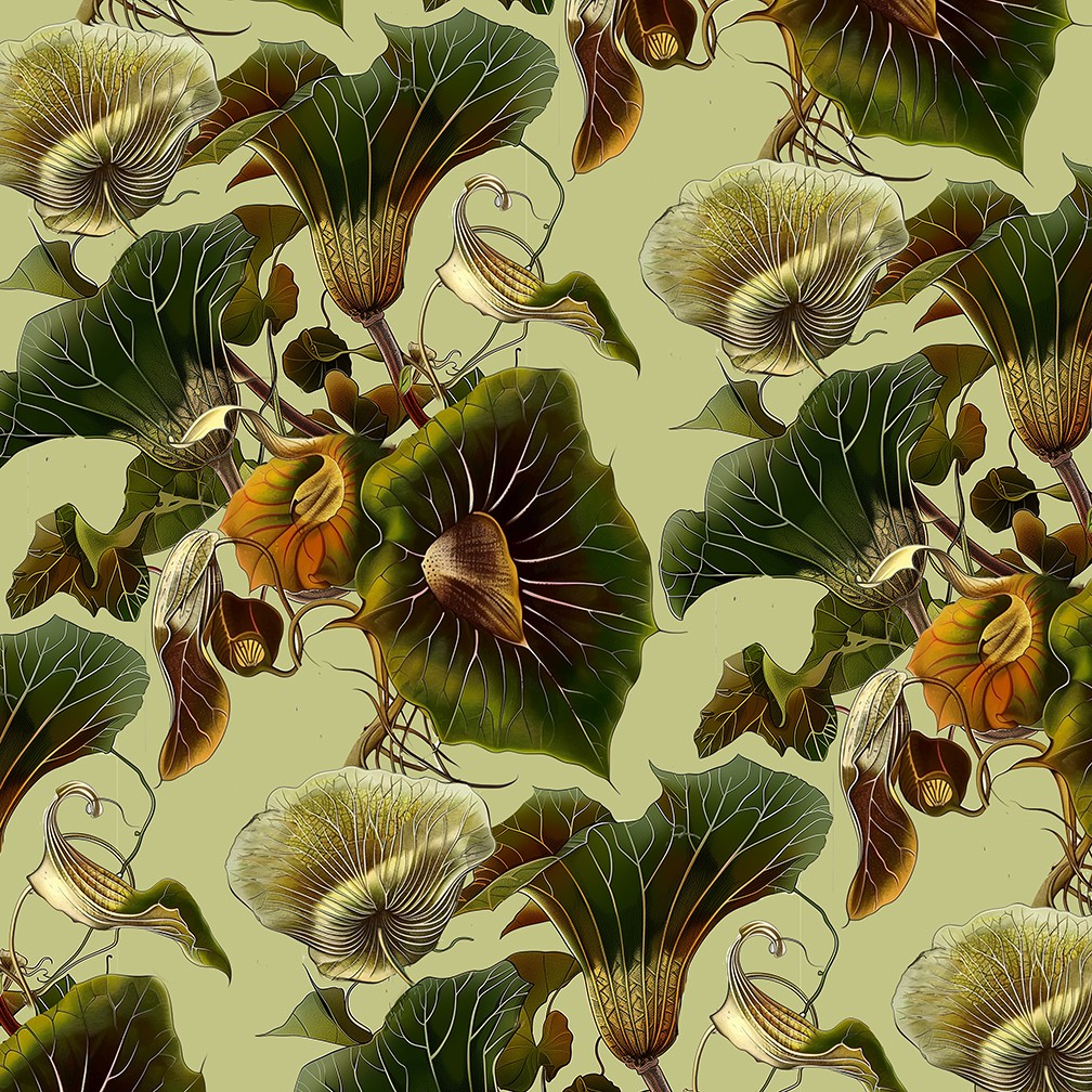Tropicalia