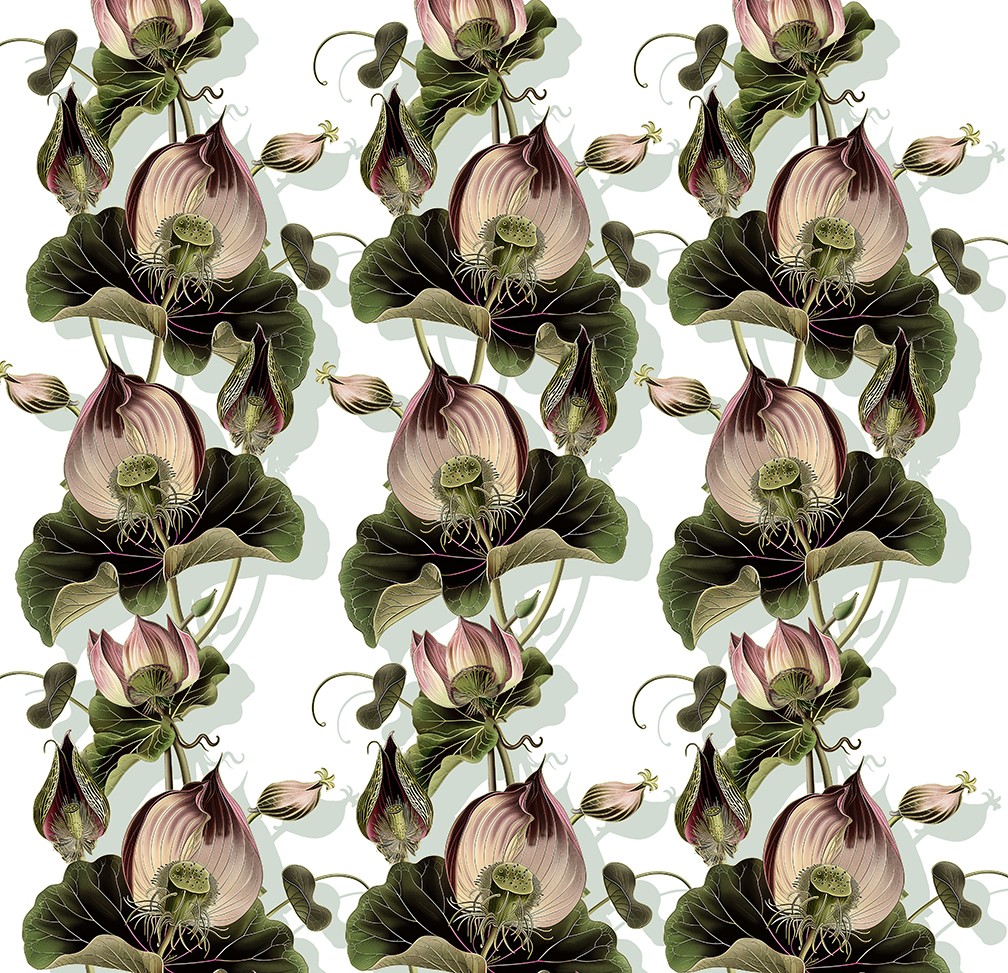 Lotus Bud Vine