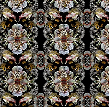 Grey Orchids