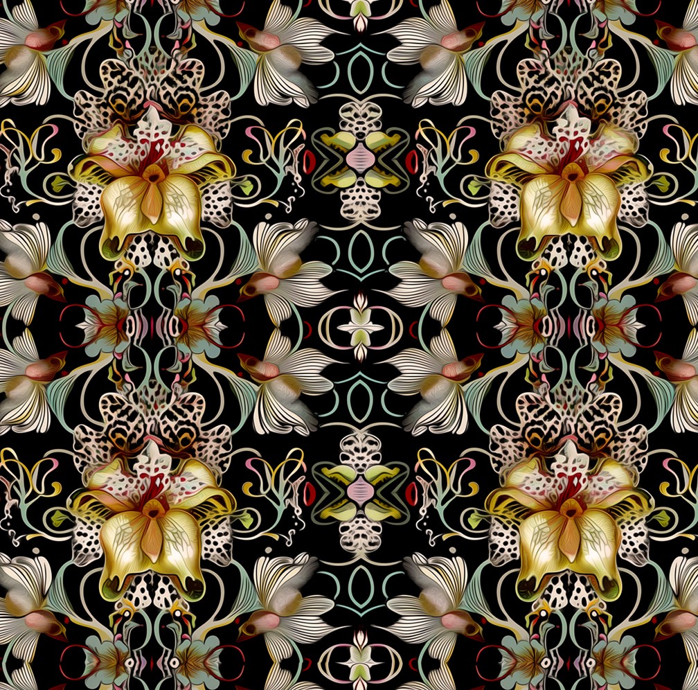 Circus Orchids