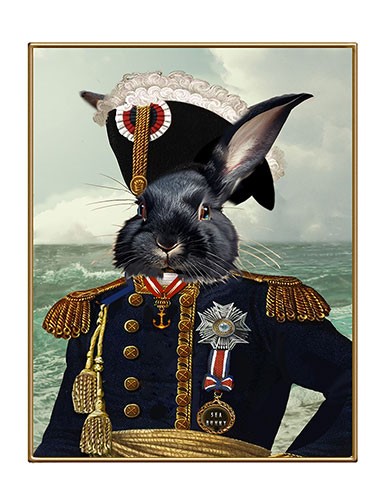 Capt.C. Bunny