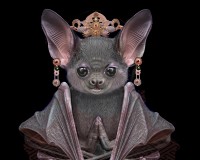 Namaste the Bat